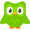 Скачать DuoLingo на Андроид