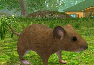 Скачать Симулятор Мыши